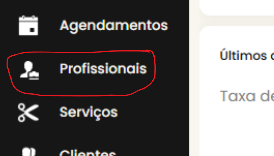 acesse a aba de profissional