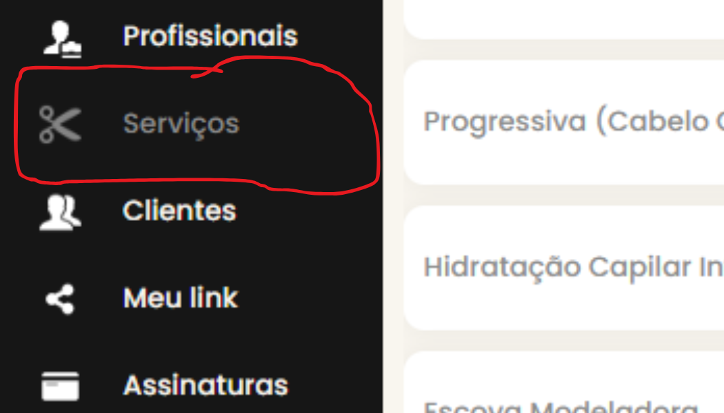 acesse a aba de profissional
