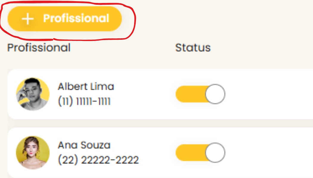 clique no botão de novo profissional
