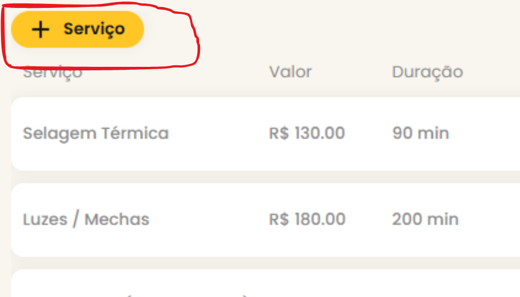 clique no botão de novo profissional
